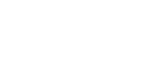 RVillage-logo-2022